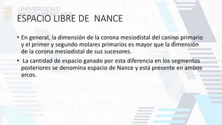 ESPACIO LIBRE DE NANCE
• En general, la dimensión de la corona mesiodistal del canino primario
y el primer y segundo molares primarios es mayor que la dimensión
de la corona mesiodistal de sus sucesores.
• La cantidad de espacio ganado por esta diferencia en los segmentos
posteriores se denomina espacio de Nance y está presente en ambos
arcos.
 
