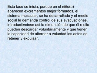 Esta fase se inicia, porque en el niño(a) aparecen excrementos mejor formados, el sistema muscular, se ha desarrollado y el medio social le demanda control de sus evacuaciones, introduciéndose así la dimensión de que él o ella pueden descargar voluntariamente y que tienen la capacidad de alternar a voluntad los actos de retener y expulsar.  
