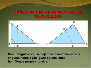 ¿CÓMO SE DEFINE SEMEJANZA DE TRIÁNGULOS? Dos triángulos son semejantes cuando tienen sus ángulos homólogos iguales y sus lados homólogos proporcionales. 