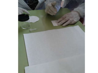 Imágenes Desarrollando medicamentos