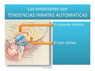 Las emociones son
TENDENCIAS INNATAS AUTOMATICAS
El sistema límbico
El neo córtex
Victoria Gamboa