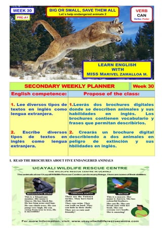 I. READ THE BROCHURES ABOUT FIVE ENDANGERED ANIMALS
 