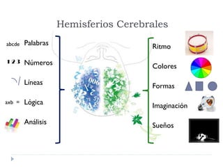 Hemisferios Cerebrales
Palabras
Números
Líneas
Lógica
Análisis
Ritmo
Colores
Formas
Imaginación
Sueños
abcde
1 2 3
axb =
 