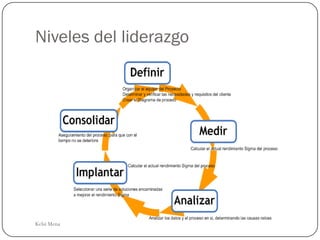 Niveles del liderazgo




Kelsi Mena
 