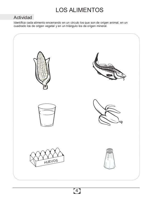Imagenes De Alimentos De Origen Animal Vegetal Y Mineral Para Colorear