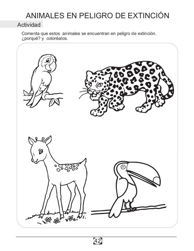 Imagenes Para Colorear De Animales En Peligro De Extincion - Impresion