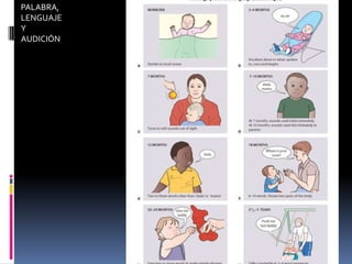 PALABRA,
LENGUAJE
Y
AUDICIÓN
 