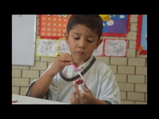 Arreglo navideño 1B