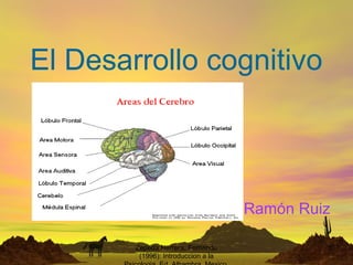 El Desarrollo cognitivo



                                     Ramón Ruiz

        Zepeda Herrera, Fernando              1
         (1996): Introduccion a la
 