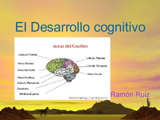 El Desarrollo cognitivo Ramón Ruiz 