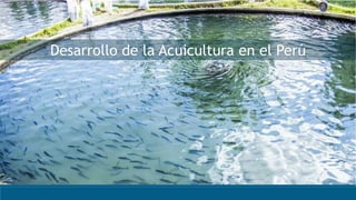 Desarrollo de la Acuicultura en el Perú
 