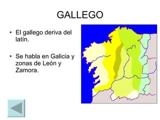 GALLEGO El gallego deriva del latín. Se habla en Galicia y zonas de León y Zamora. 