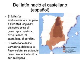 Del latín nació el castellano (español) El latín fue evolucionando y dio paso a distintas lenguas y dialectos como el galaico-portugués, el astur-leonés, el castellano, el catalán… El  castellano  desde Cantabria, debido a la Reconquista, se extendió como un abanico hasta el sur de España . 