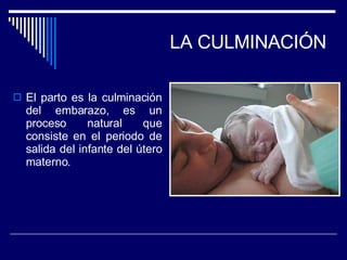 LA CULMINACIÓN El parto es la culminación del embarazo, es un proceso natural que consiste en el periodo de salida del infante del útero materno. 