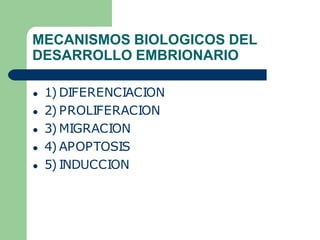 MECANISMOS BIOLOGICOS DEL
DESARROLLO EMBRIONARIO
● 1) DIFERENCIACION
● 2) PROLIFERACION
● 3) MIGRACION
● 4) APOPTOSIS
● 5) INDUCCION
 