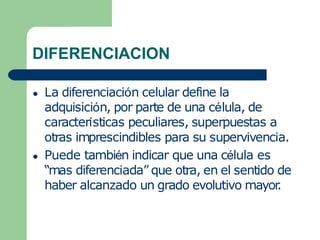 DIFERENCIACION
● La diferenciación celular define la
adquisición, por parte de una célula, de
características peculiares, superpuestas a
otras imprescindibles para su supervivencia.
● Puede también indicar que una célula es
“mas diferenciada” que otra, en el sentido de
haber alcanzado un grado evolutivo mayor
.
 