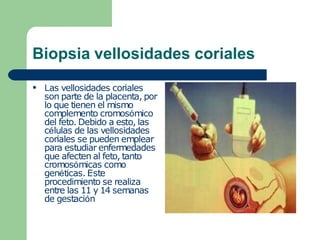 Biopsia vellosidades coriales
● Las vellosidades coriales
son parte de la placenta, por
lo que tienen el mismo
complemento cromosómico
del feto. Debido a esto, las
células de las vellosidades
coriales se pueden emplear
para estudiar enfermedades
que afecten al feto, tanto
cromosómicas como
genéticas. Este
procedimiento se realiza
entre las 11 y 14 semanas
de gestación
 