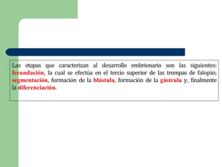 Las etapas que caracterizan al desarrollo embrionario son las siguientes:
fecundación, la cual se efectúa en el tercio superior de las trompas de falopio;
segmentación, formación de la blástula, formación de la gástrula y, finalmente
la diferenciación.
 