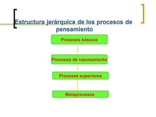 Procesos básicos



Procesos de razonamiento


   Procesos superiores



     Metaprocesos
 