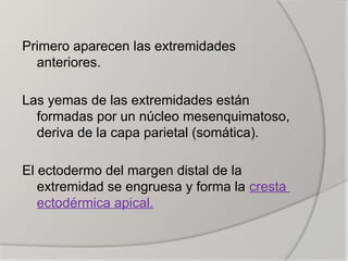 Desarrollo-Esqueletico-Embriologia.pptxx | PPTX