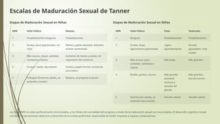 Desarrollo-Infantil-y-Adolescente ff.pptx