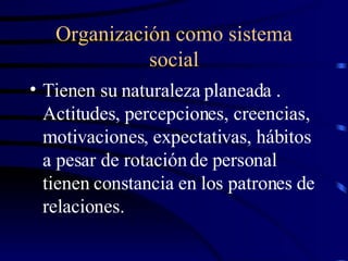 Organización como sistema social ,[object Object]