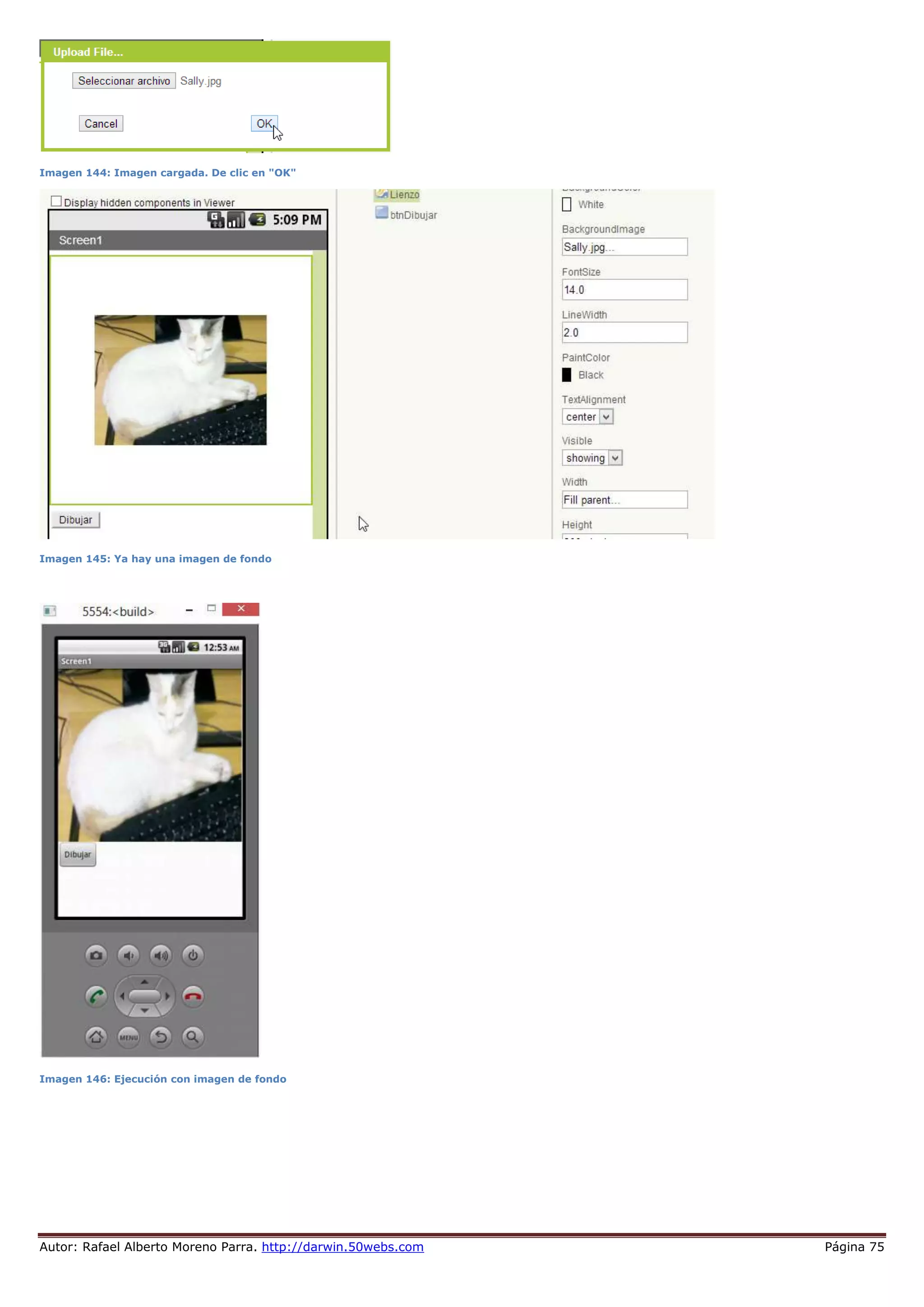 Autor: Rafael Alberto Moreno Parra. http://darwin.50webs.com Página 75
Imagen 144: Imagen cargada. De clic en "OK"
Imagen 145: Ya hay una imagen de fondo
Imagen 146: Ejecución con imagen de fondo
 