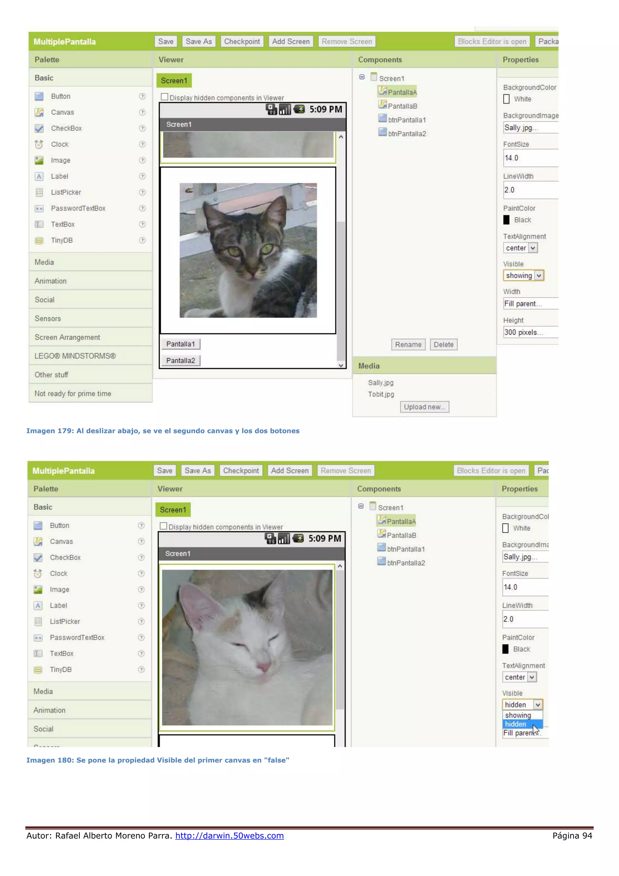 Autor: Rafael Alberto Moreno Parra. http://darwin.50webs.com Página 94
Imagen 179: Al deslizar abajo, se ve el segundo canvas y los dos botones
Imagen 180: Se pone la propiedad Visible del primer canvas en "false"
 