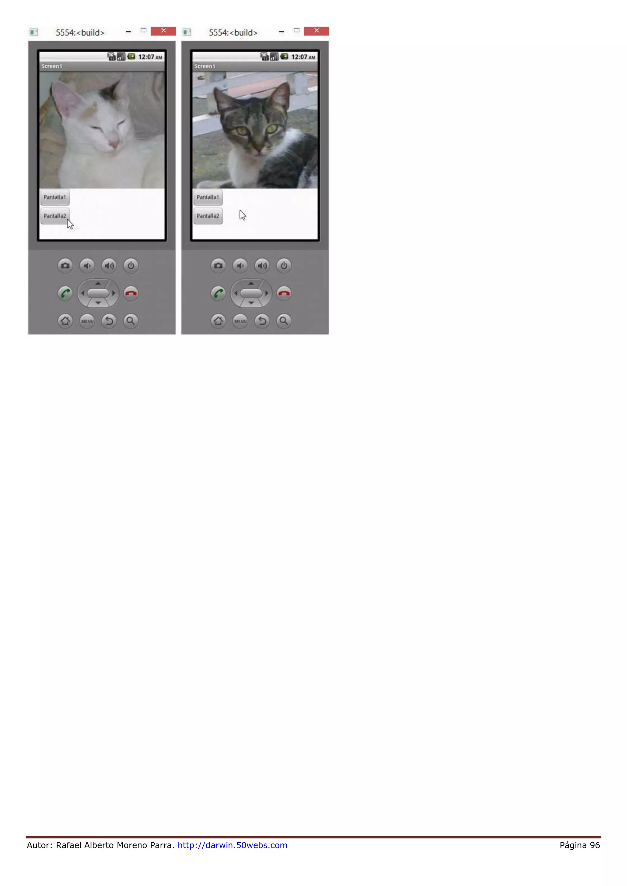 Autor: Rafael Alberto Moreno Parra. http://darwin.50webs.com Página 96
 