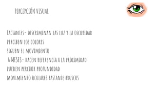 PERCEPCIÓN VISUAL
Lactantes- discriminan las luz y la oscuridad
perciben los colores
siguen el movimiento
6 MESES- hacen referencia a la proximidad
pueden percibir profundidad
movimiento oculares bastante bruscos
 