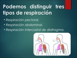 Podemos distinguir tres
tipos de respiración
 Respiración pectoral.
 Respiración abdominal.
 Respiración intercostal de diafragma.
 