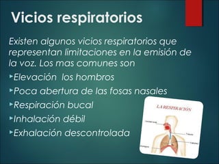Vicios respiratorios
Existen algunos vicios respiratorios que
representan limitaciones en la emisión de
la voz. Los mas comunes son
Elevación los hombros
Poca abertura de las fosas nasales
Respiración bucal
Inhalación débil
Exhalación descontrolada
 