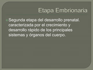 Segunda etapa del desarrollo prenatal.
caracterizada por el crecimiento y
desarrollo rápido de los principales
sistemas y órganos del cuerpo.
 