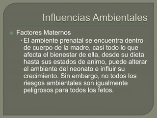  Factores Maternos
El ambiente prenatal se encuentra dentro
de cuerpo de la madre, casi todo lo que
afecta el bienestar de ella, desde su dieta
hasta sus estados de animo, puede alterar
el ambiente del neonato e influir su
crecimiento. Sin embargo, no todos los
riesgos ambientales son igualmente
peligrosos para todos los fetos.
 