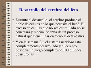 Desarrollo del cerebro del feto
• Durante el desarrollo, el cerebro produce el
doble de células de lo que necesita el bebé. El
exceso de células que no sea estimulado no se
conectará y morirá. Se trata de un proceso
natural que tiene lugar en torno al octavo mes.
• Y en la semana 36, el sistema nervioso está
completamente desarrollado y el cerebro
posee ya un juego completo de 100 billones
de neuronas.
 