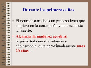 Durante los primeros años
• El neurodesarrollo es un proceso lento que
empieza en la concepción y no cesa hasta
la muerte.
• Alcanzar la madurez cerebral
requiere toda nuestra infancia y
adolescencia, dura aproximadamente unos
20 años…
 