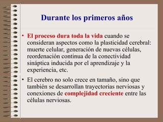 Durante los primeros años
• El proceso dura toda la vida cuando se
consideran aspectos como la plasticidad cerebral:
muerte celular, generación de nuevas células,
reordenación continua de la conectividad
sináptica inducida por el aprendizaje y la
experiencia, etc.
• El cerebro no solo crece en tamaño, sino que
también se desarrollan trayectorias nerviosas y
conexiones de complejidad creciente entre las
células nerviosas.
 