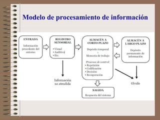 Modelo de procesamiento de información
 