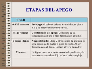 ETAPAS DEL APEGO
EDAD
0-8/12 semanas Preapego: el bebé se orienta a su madre, se gira a
ella y se mueve cuando oye su voz.
8/12s- 6meses Construcción del apego: Comienzo de la
vinculación con una o más personas del entorno.
6 meses -2años Apego definido: Llora y otros signos de angustia si
se le separa de la madre o quien lo cuida. Al ser
devuelto cesa el llanto, incluso al ver a la madre.
25 meses La figura materna aparece como independiente y la
relación entre madre e hijo se hace más compleja.
 