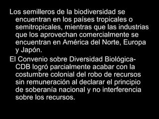 Los semilleros de la biodiversidad se
encuentran en los países tropicales o
semitropicales, mientras que las industrias
que los aprovechan comercialmente se
encuentran en América del Norte, Europa
y Japón.
El Convenio sobre Diversidad Biológica-
CDB logró parcialmente acabar con la
costumbre colonial del robo de recursos
sin remuneración al declarar el principio
de soberanía nacional y no interferencia
sobre los recursos.
 
