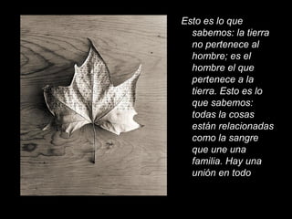 Esto es lo que
sabemos: la tierra
no pertenece al
hombre; es el
hombre el que
pertenece a la
tierra. Esto es lo
que sabemos:
todas la cosas
están relacionadas
como la sangre
que une una
familia. Hay una
unión en todo
 