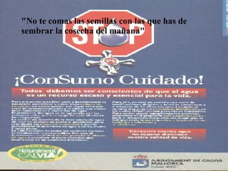 "No te comas las semillas con las que has de sembrar la cosecha del mañana" 