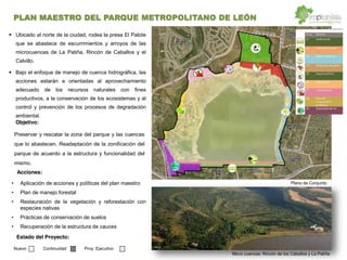 Aplicación de acciones y políticas del plan maestro
Plan de manejo forestal
Restauración de la vegetación y reforestación con
especies nativas
Prácticas de conservación de suelos
Recuperación de la estructura de cauces
Acciones:
Objetivo:
Preservar y rescatar la zona del parque y las cuencas
que lo abastecen. Readaptación de la zonificación del
parque de acuerdo a la estructura y funcionalidad del
mismo.
Ubicado al norte de la ciudad, rodea la presa El Palote
que se abastece de escurrimientos y arroyos de las
microcuencas de La Patiña, Rincón de Caballos y el
Calvillo.
Bajo el enfoque de manejo de cuenca hidrográfica, las
acciones estarán a orientadas al aprovechamiento
adecuado de los recursos naturales con fines
productivos, a la conservación de los ecosistemas y al
control y prevención de los procesos de degradación
ambiental.
Micro cuencas: Rincón de los Caballos y La Patiña
Estado del Proyecto:
Nuevo Continuidad Proy. Ejecutivo
PLAN MAESTRO DEL PARQUE METROPOLITANO DE LEÓN
Plano de Conjunto
 