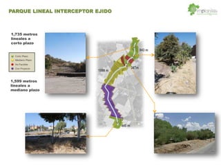 1,735 metros
lineales a
corto plazo
1,599 metros
lineales a
mediano plazo
943 m
347m
445 m
1599 m
PARQUE LINEAL INTERCEPTOR EJIDO
 