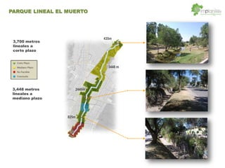 3,700 metros
lineales a
corto plazo
3,448 metros
lineales a
mediano plazo
435m
2440m
825m
3448 m
PARQUE LINEAL EL MUERTO
 