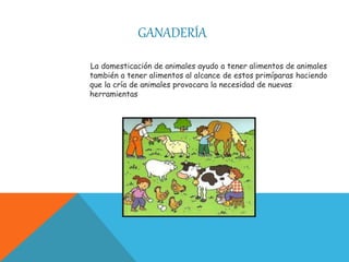 GANADERÍA
La domesticación de animales ayudo a tener alimentos de animales
también a tener alimentos al alcance de estos primíparas haciendo
que la cría de animales provocara la necesidad de nuevas
herramientas
 