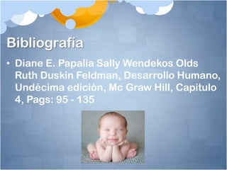 Bibliografía
• Diane E. Papalia Sally Wendekos Olds
  Ruth Duskin Feldman, Desarrollo Humano,
  Undécima edición, Mc Graw Hill, Capitulo
  4, Pags: 95 - 135
 