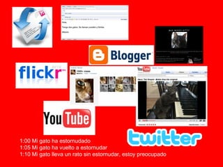 1:00 Mi gato ha estornudado 1:05 Mi gato ha vuelto a estornudar 1:10 Mi gato lleva un rato sin estornudar, estoy preocupado 