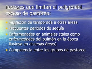 Factores que limitan el peligro del exceso de pastoreo: Migración de temporada a otras áreas Frecuentes periódos de sequía Enfermedades en animales (tales como enfermedades del pulmón en la época lluviosa en diversas áreas) Competencia entre los grupos de pastoreo 