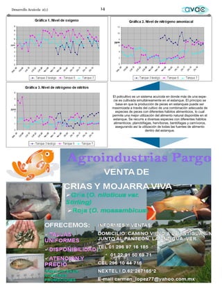 Desarrollo Acuícola 2(1)   14                                                     avac




                                El policultivo es un sistema acuícola en donde más de una espe-
                                 cie es cultivada simultáneamente en el estanque. El principio se
                                   basa en que la producción de peces en estanques puede ser
                                maximizada a través del cultivo de una combinación adecuada de
                                  especies de peces con diferentes hábitos alimenticios, lo cual
                                permite una mejor utilización del alimento natural disponible en el
                                estanque. Se recurre a diversas especies con diferentes hábitos
                                 alimenticios: planctófagas, hervíboras, bentófagas y carnívoros,
                                  asegurando así la utilización de todas las fuentes de alimento
                                                        dentro del estanque.
 